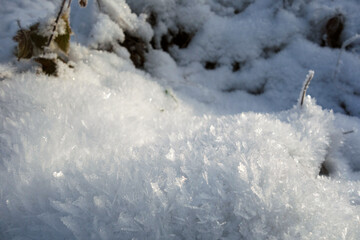 Fototapeta na wymiar Beautiful snow crystals in the picturesque nature in the winter season
