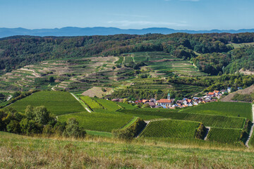 Schelingen, Kaiserstuhl, Baden-Württemberg, Deutschland