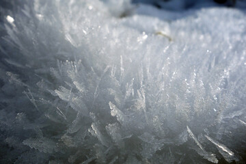 Beautiful snow crystals in the picturesque nature in the winter season