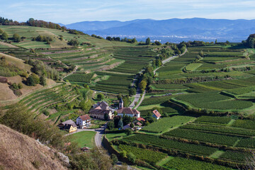 Altvogtsburg im Kaiserstuhl, Baden-Württemberg