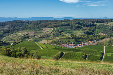 Schelingen, Kaiserstuhl, Baden-Württemberg, Deutschland