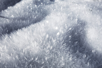 Beautiful snow crystals in the picturesque nature in the winter season