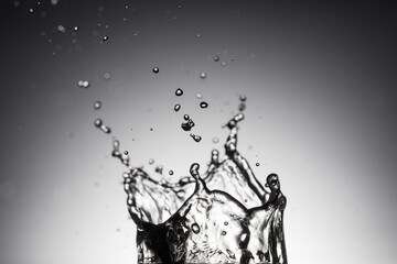 Water splash in a glass in studio shot.