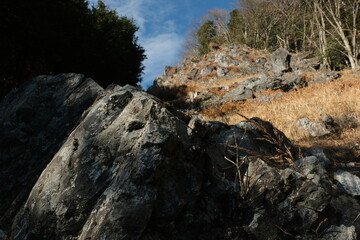 Obraz premium 県境尾根、奥多摩の山の眺望。landscape of Okutama, Tokyo Japan