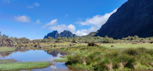 Cirque of Mafate landscape in Kelval Highland, between lake, grassland and peak, Reunion island, France, tropical Europe.
