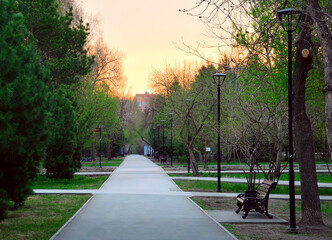 Spring Park in the morning