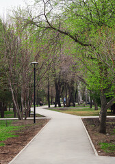 Spring Park in the morning - vertically