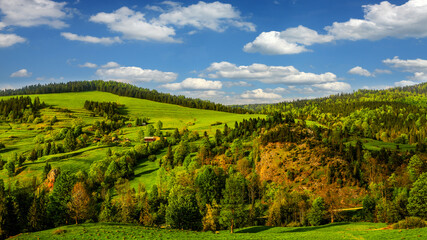Fototapeta na wymiar spring in the Pieniny Mountains in southern Poland
