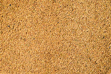 Fenugreek grain texture background. Helba yellow Egyptian tea, top view