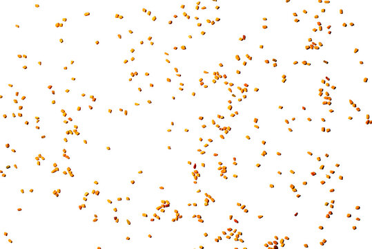 Scattered fenugreek grains isolated on white background, top view