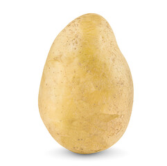 potato an isolated on a white background.