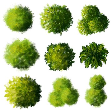 Collection of abstract watercolor green tree top view isolated on white background  for landscape plan and architecture layout drawing, elements for environment and garden, green grass illustration 