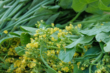 Choy sum, Fresh vegetables in local markets in Thailand.
