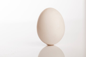 egg isolated on white