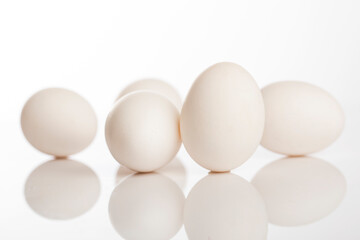 White eggs on white background.