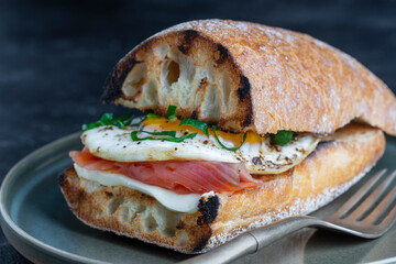 Fresh salmon, egg sandwich, close up. Salted salmon, fried egg, butter and white bread