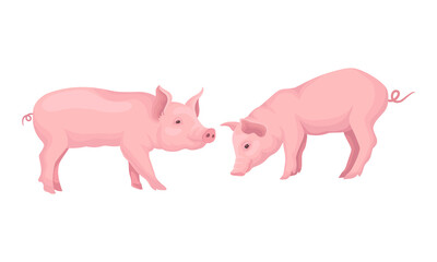 Pink Pig as Even-toed Ungulate Domestic Animal in Different Poses Vector Set
