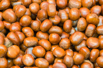 Brown chestnuts. Lots of fresh chestnut fruit