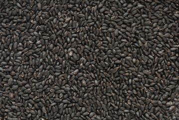 Basil seeds. Top view. Flat lay.