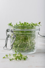 Glass jar with watercress microgreens on white wooden background