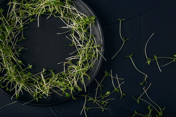 Black plate with watercress microgreens on dark textured background. Top view.