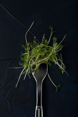 Fork with watercress microgreens on dark textured background