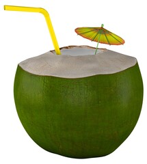 Coconut Green Walnut Umbrella 3D Render