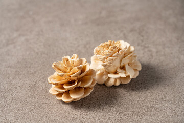 まつぼっくり コピースペース有り