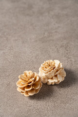 まつぼっくり コピースペース有り