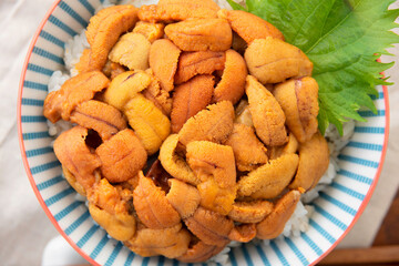 ウニ丼