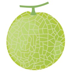 網目の入ったマスクメロンのイラスト