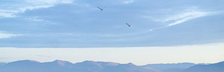 Birds over mountains and gold sunset.