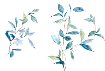 Watercolor illustration of flowers and leaves.Manual composition.Design for cover, fabric, textile, wrapping paper .