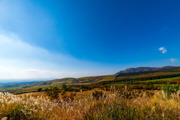 秋晴れの爽やかな久住高原