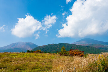 Fototapeta premium 秋晴れの爽やかな久住高原
