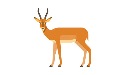African eurasian wild animal antelope impala flat style vector illustration isolated on white background