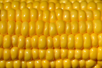 Corn detail