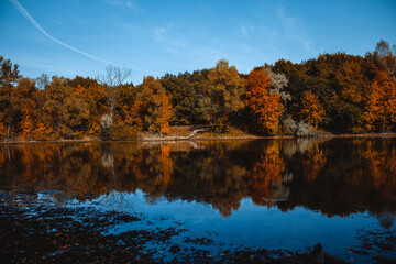 lake on the background of autumn forest and blue sky