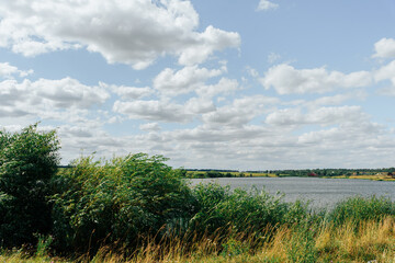 Fototapeta na wymiar Summer landscape on the shore of a pond