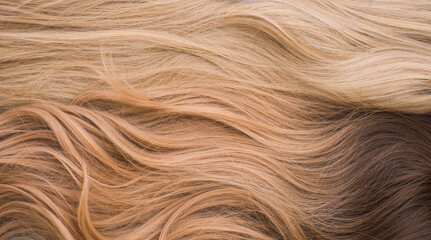 Wigs, natural and synthetic hair. Women's beauty concept. Close up photo of wig, hair for ladies