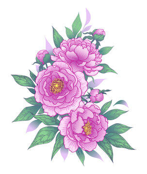 Hand Drawn Floral Bunch with Pink Peony Flowers