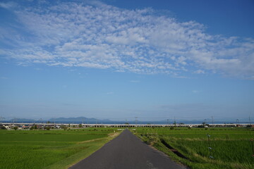 まっすぐな道と夏の空（滋賀県大津市北比良）