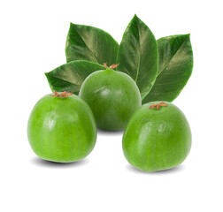 mini kiwi baby fruit on a white background