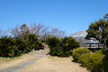 披露山公園