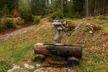 fountain made of wood in the forest while hiking