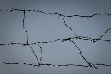 Barbed wire against the blue sky. Protection of the territory from malefactors. Escape Prevention.