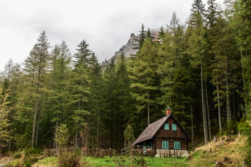 Fototapeta na wymiar house in the forest and mountains while hiking in the spring