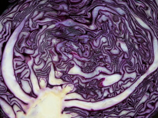 Aufgeschnittener Rotkohl, auch Rotkraut oder Blaukraut genannt, für Salat oder klassisch gegart