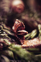 close up of star anise
