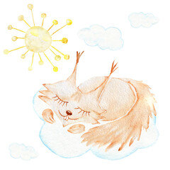 Watercolor squirrel, sun . Sleeping animals. Forest dwellers. Children's Illustration.